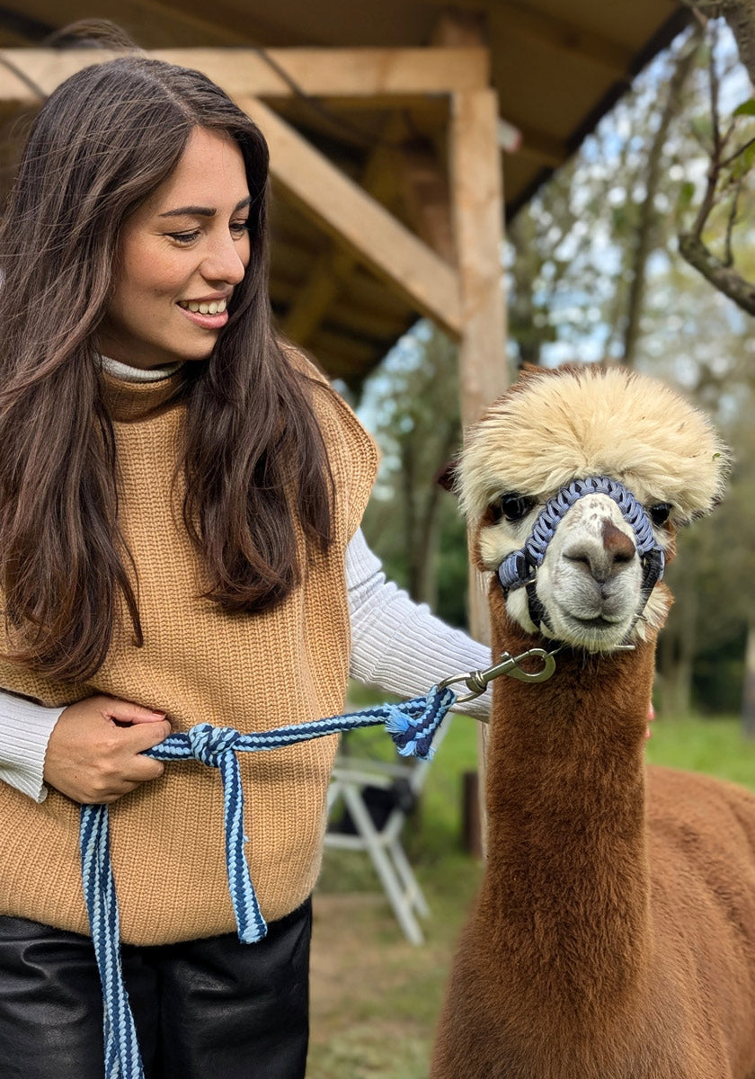 Gilet pull marron à col montant